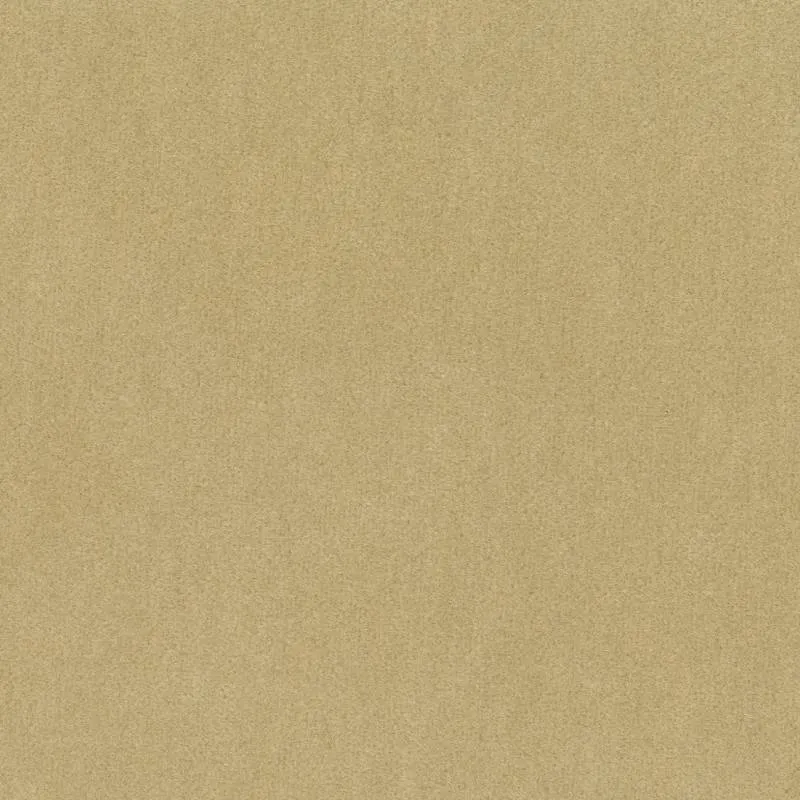 Ткань Elitis Inlassable wo-117-18