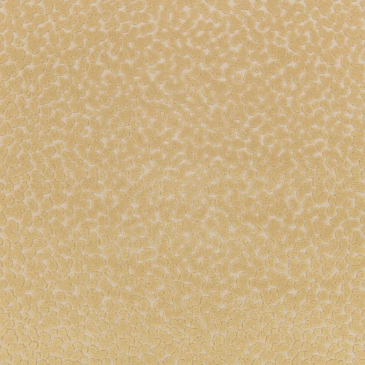 Ткань Kirkby design Graphic Nature K5328-03