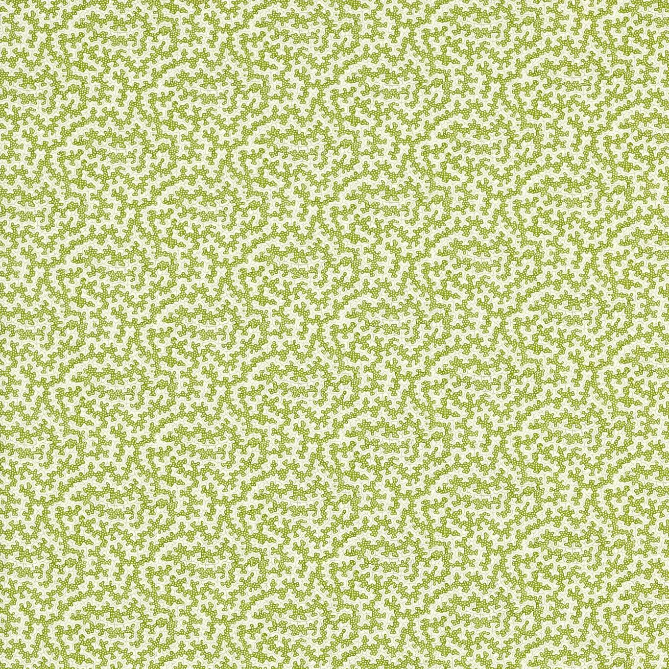 Ткань Sanderson Indoor Outdoor Prints 227204