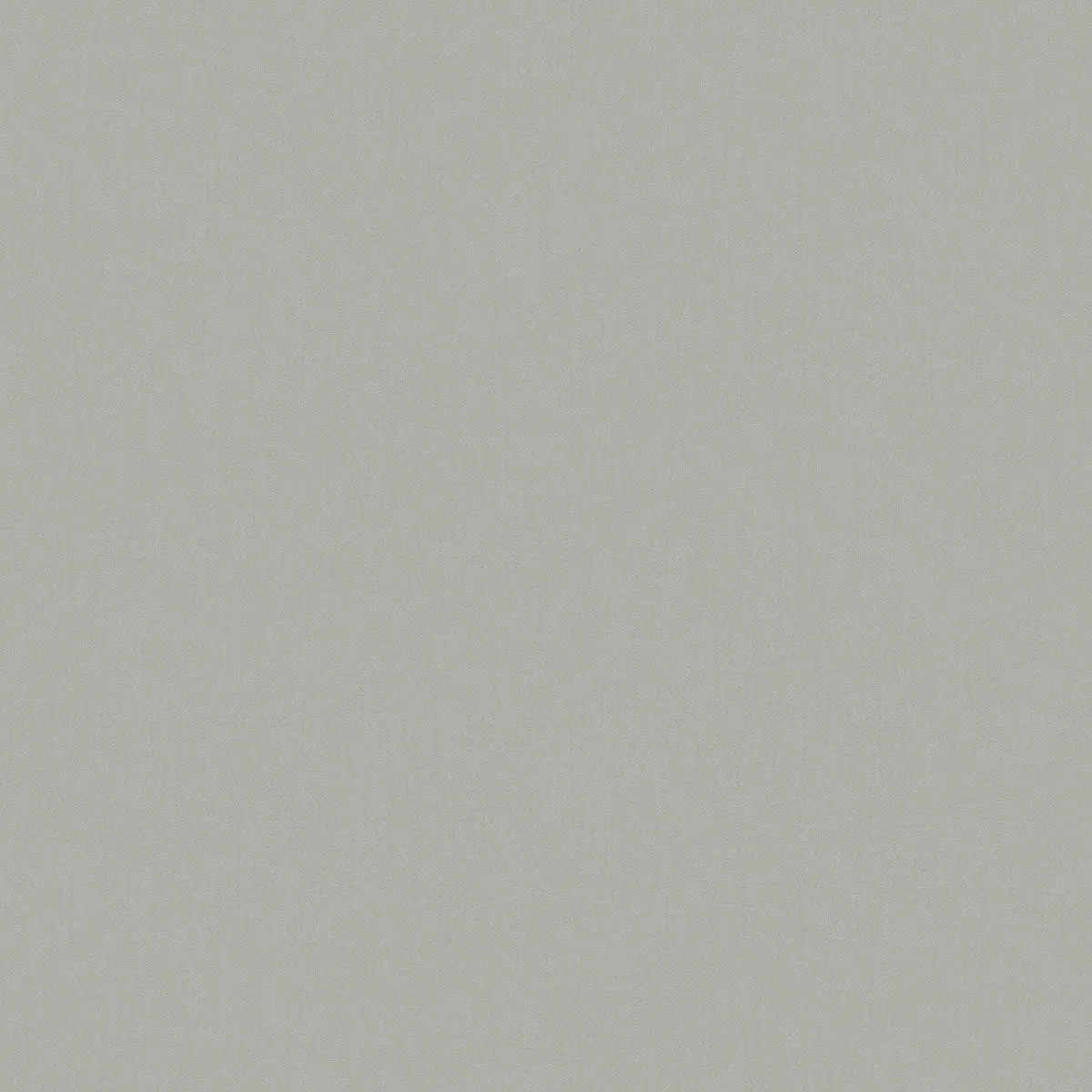 Обои для стен Duro Smamonstrat 684-58