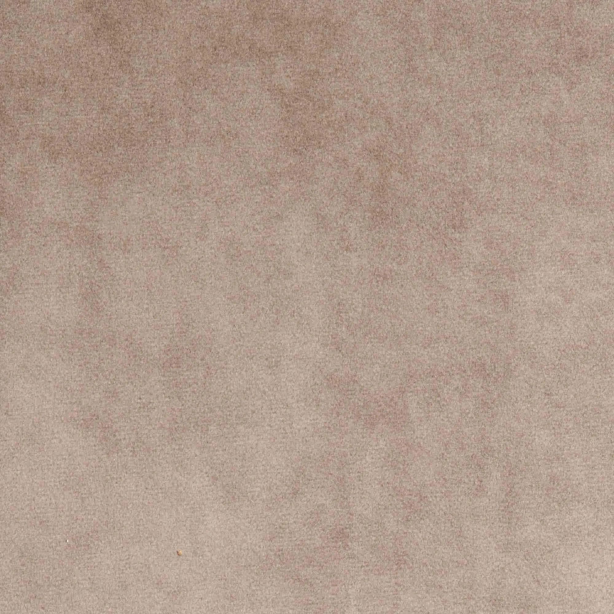 Ткань Foresti Home Collection Velluto Fantasy T2061-09