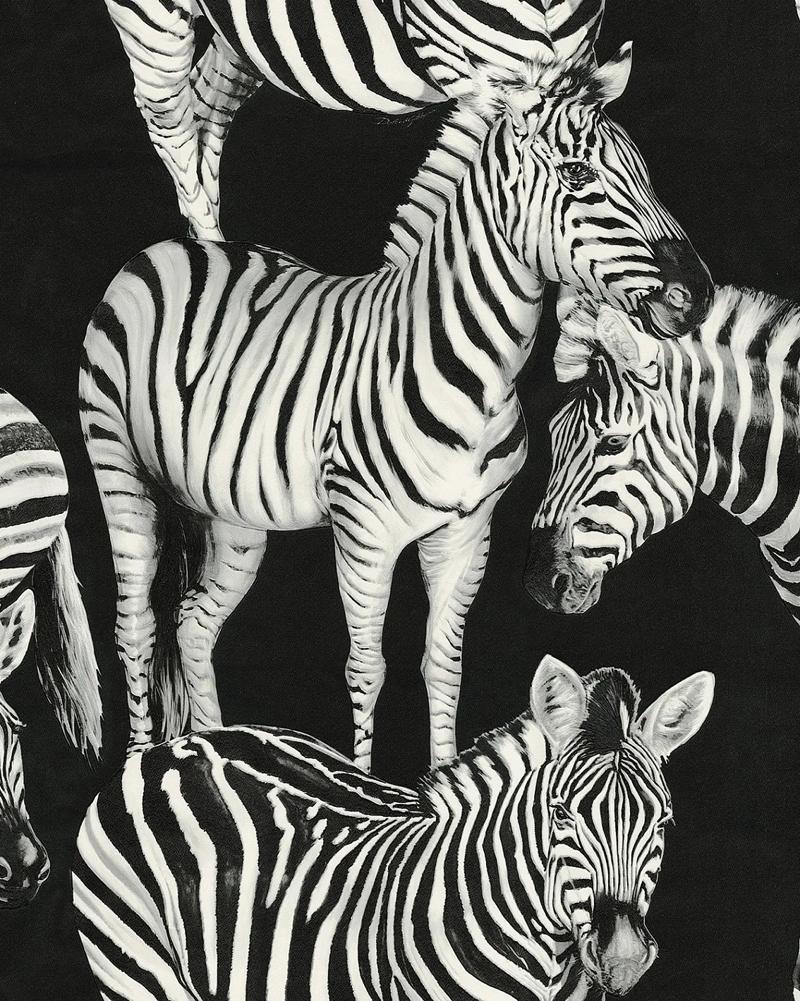 Обои для стен Emiliana Parati Dolce&Gabbana 30023DG