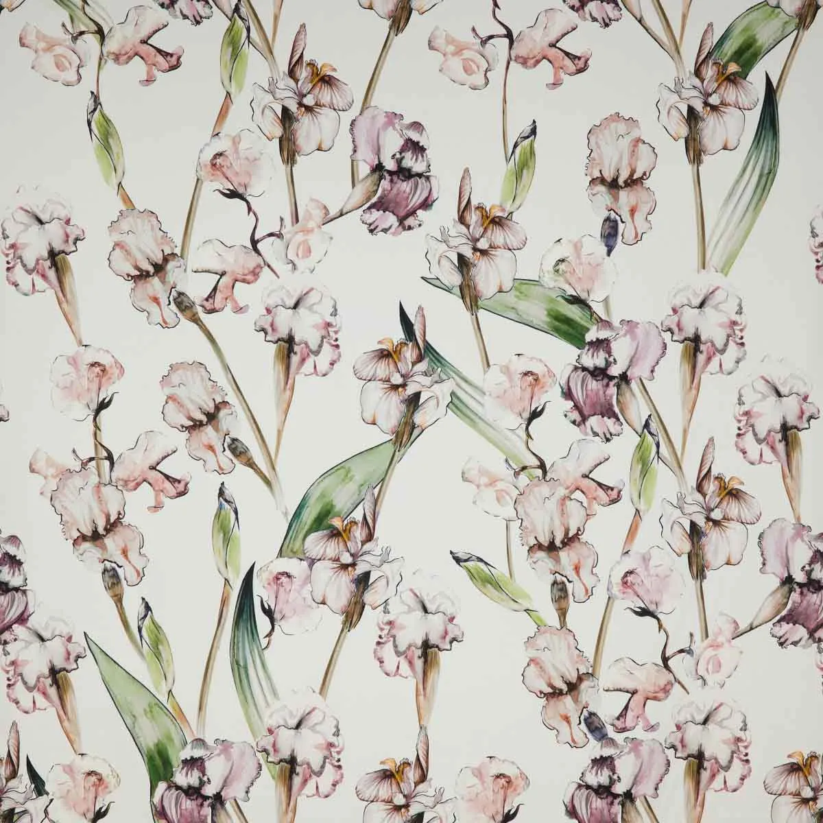 Ткань Alessandro Bini Garden  G203-S2_15