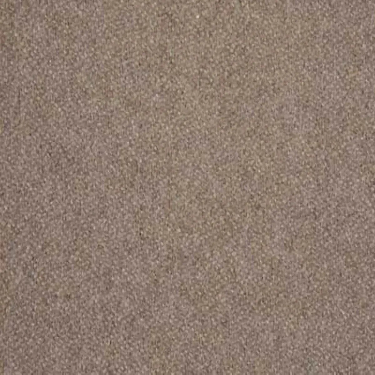 Ткань Alessandro Bini Shetland G137_0480