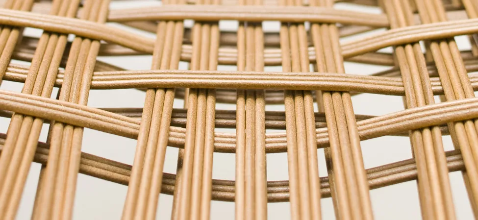 Шезлонг Tropicalia by Patricia Urquiola #7