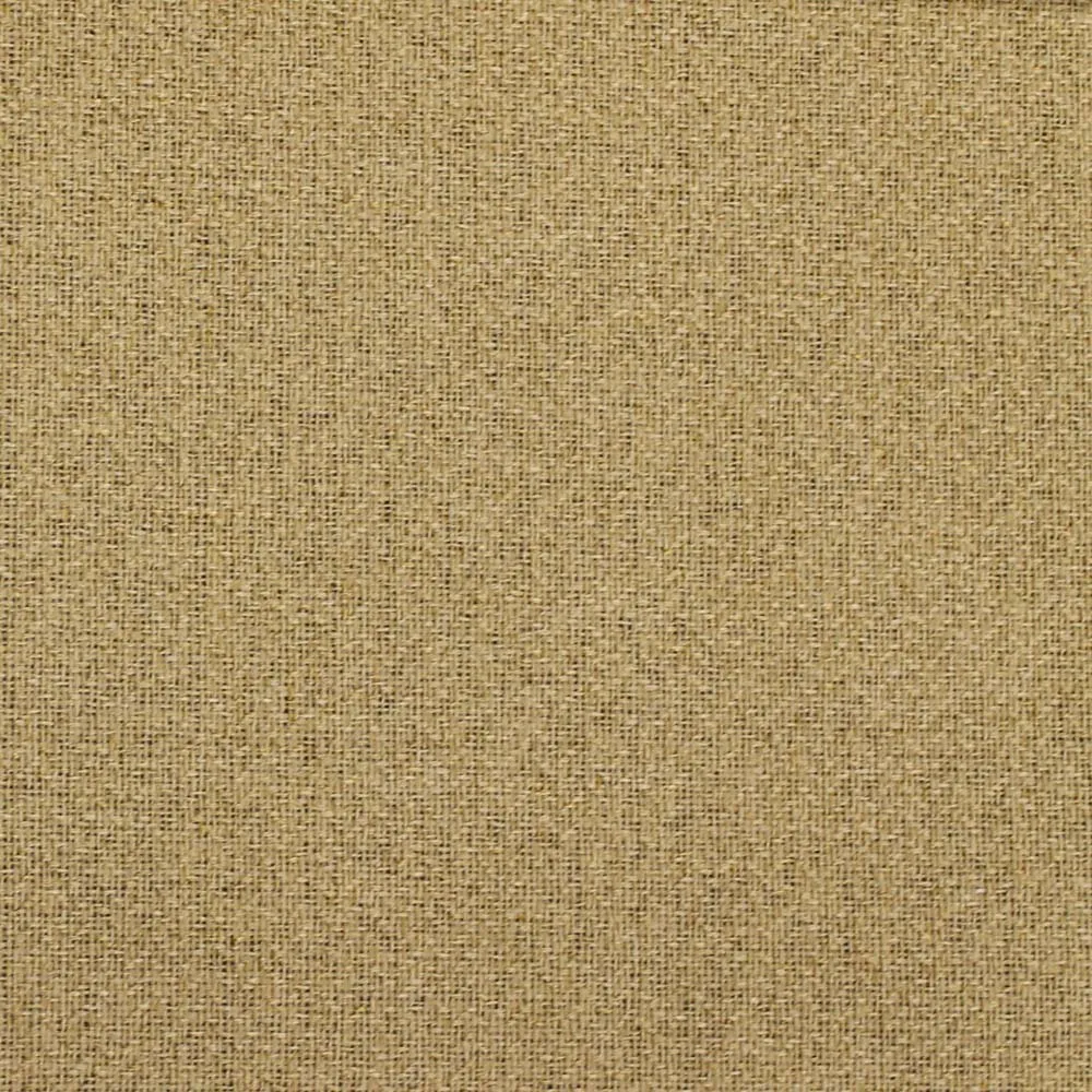 Ткань Foresti Home Collection Extreme Blackout FR A9150-09