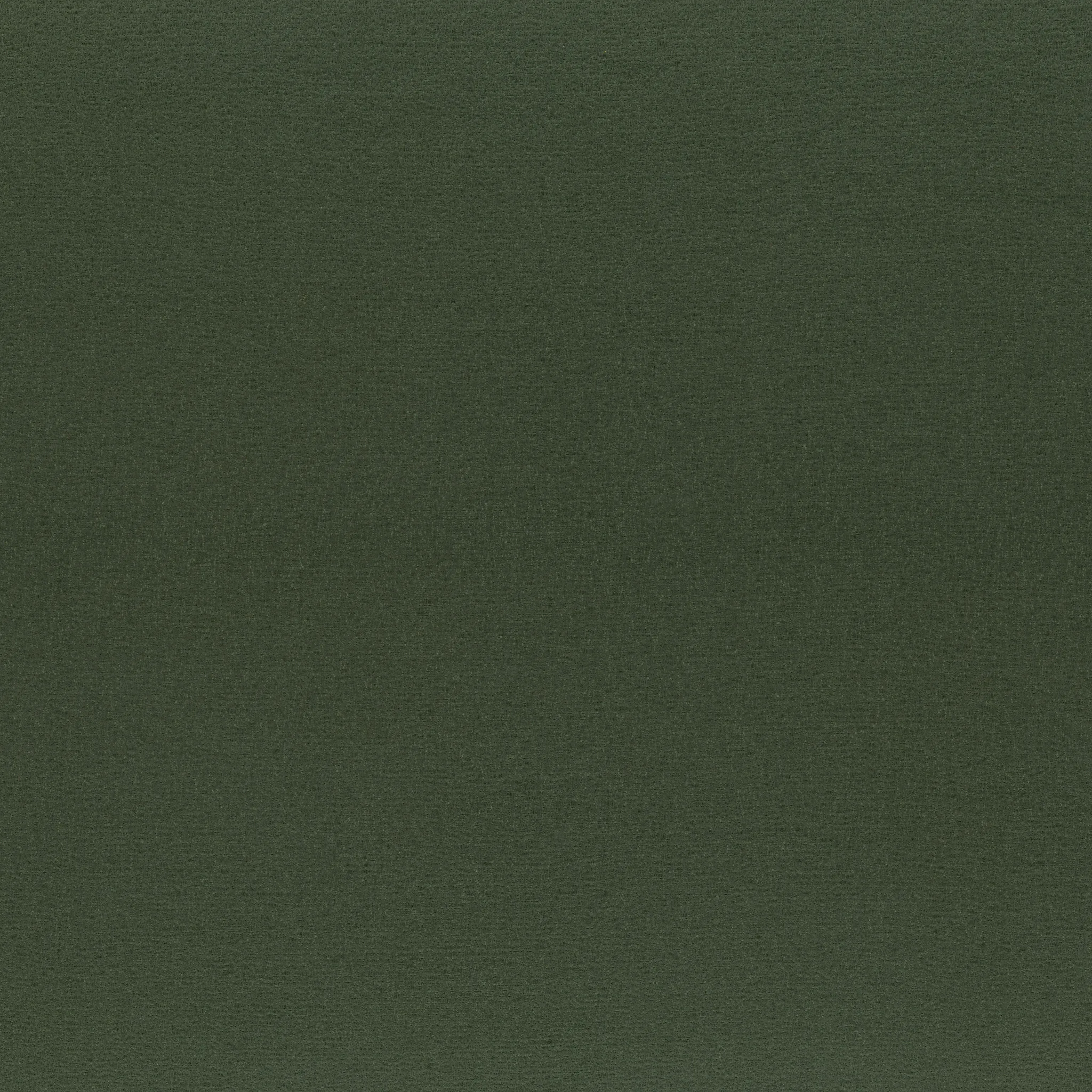 Ткань Rubelli Iris 30673_19