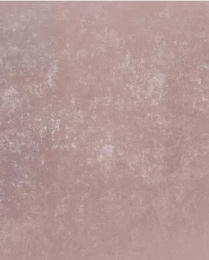 Обои для стен Bernardo Bartalucci Bigi Plus 5089_5