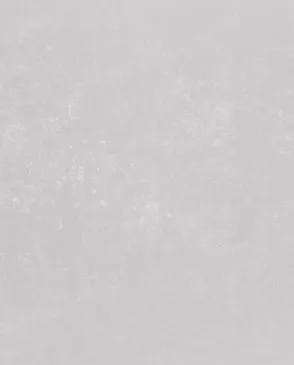 Обои для стен Bernardo Bartalucci Bigi Plus 5089_14