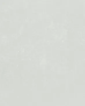 Обои для стен Bernardo Bartalucci Bigi Plus 5089_16