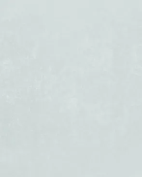 Обои для стен Bernardo Bartalucci Bigi Plus 5089_17