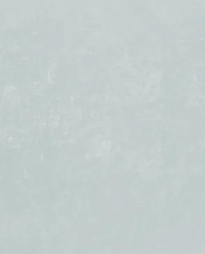 Обои для стен Bernardo Bartalucci Bigi Plus 5089_18