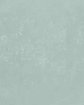 Обои для стен Bernardo Bartalucci Bigi Plus 5089_19