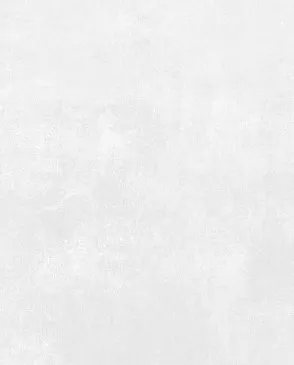 Обои для стен Bernardo Bartalucci Bigi Plus 5092_2