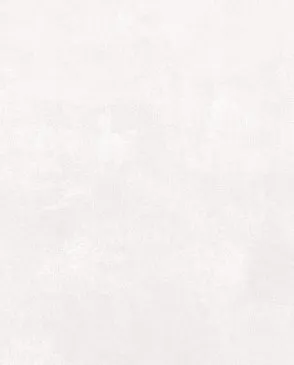 Обои для стен Bernardo Bartalucci Bigi Plus 5092_4