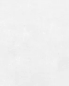 Обои для стен Bernardo Bartalucci Bigi Plus 5092_9