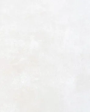 Обои для стен Bernardo Bartalucci Bigi Plus 5092_16