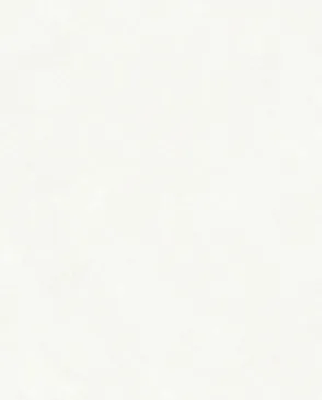 Обои для стен Bernardo Bartalucci Carnazza 5060_1