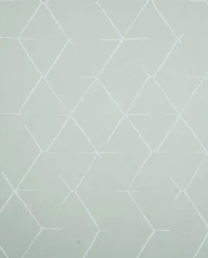 Обои для стен Bernardo Bartalucci Coco 5087_3