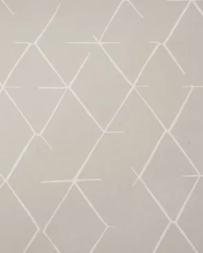 Обои для стен Bernardo Bartalucci Coco 5087_4