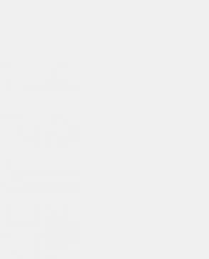 Обои для стен Bernardo Bartalucci Coco 5088_2