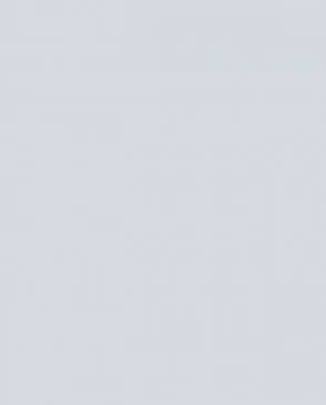 Обои для стен Bernardo Bartalucci Coco 5088_4