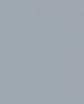 Обои для стен Bernardo Bartalucci Coco 5088_6