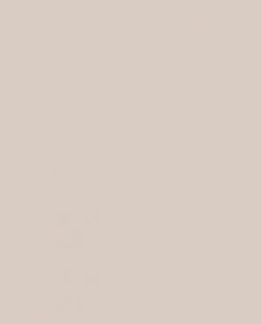 Обои для стен Bernardo Bartalucci Coco 5088_14