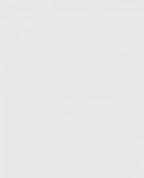 Обои для стен Bernardo Bartalucci Coco 5088_17