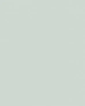 Обои для стен Bernardo Bartalucci Coco 5088_24