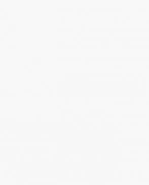 Обои для стен Bernardo Bartalucci Coco 5088_55