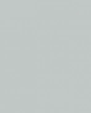 Обои для стен Bernardo Bartalucci Coco 5088_59