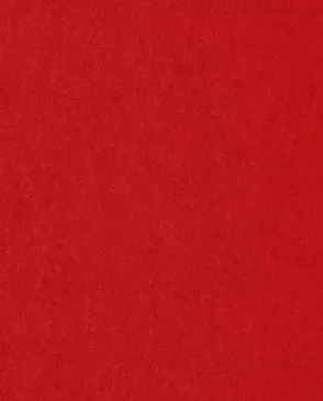 Обои для стен Bernardo Bartalucci Legend 5068_2