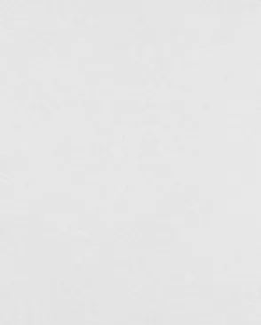 Обои для стен Bernardo Bartalucci Legend 5068_4