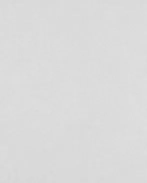 Обои для стен Bernardo Bartalucci Legend 5068_5