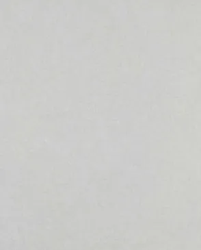 Обои для стен Bernardo Bartalucci Legend 5068_6