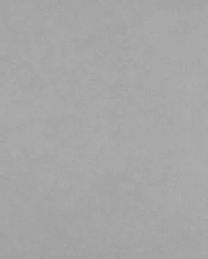 Обои для стен Bernardo Bartalucci Legend 5068_7