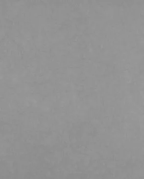 Обои для стен Bernardo Bartalucci Legend 5068_8