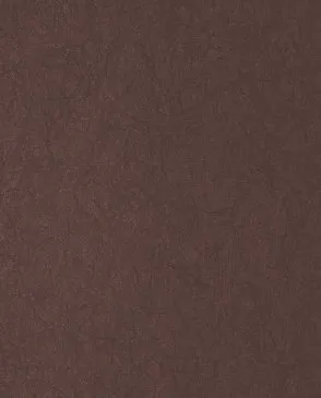 Обои для стен Bernardo Bartalucci Legend 5068_15