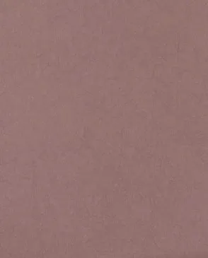 Обои для стен Bernardo Bartalucci Legend 5068_16