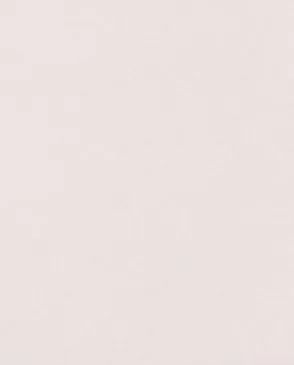 Обои для стен Bernardo Bartalucci Legend 5068_22