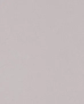 Обои для стен Bernardo Bartalucci Legend 5068_25