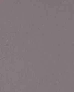 Обои для стен Bernardo Bartalucci Legend 5068_28