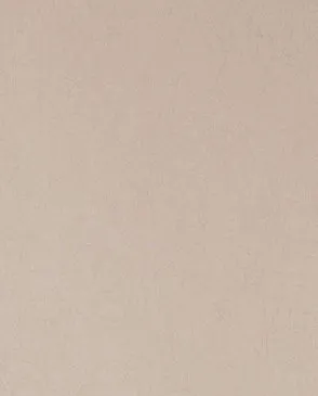 Обои для стен Bernardo Bartalucci Legend 5068_33