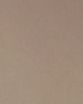 Обои для стен Bernardo Bartalucci Legend 5068_35