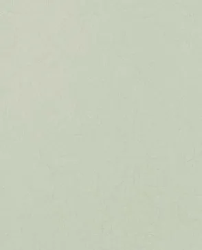 Обои для стен Bernardo Bartalucci Legend 5068_44