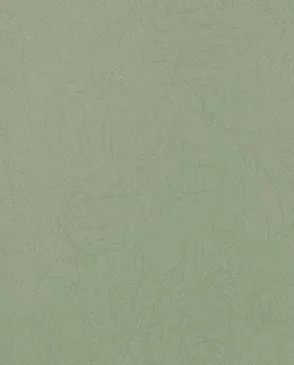 Обои для стен Bernardo Bartalucci Legend 5068_46