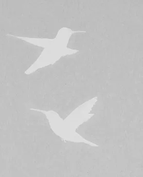 Обои для стен Bernardo Bartalucci Legend 5071_5