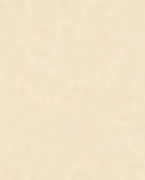 Обои для стен Bernardo Bartalucci Renzo 84165_5