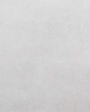 Обои для стен Bernardo Bartalucci Sarrieri 5075_4